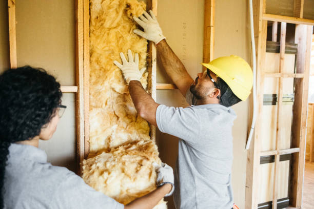 Best Insulation for Metal Buildings  in Alamosa, CO